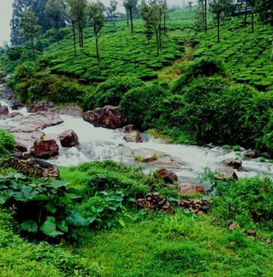 Valparai